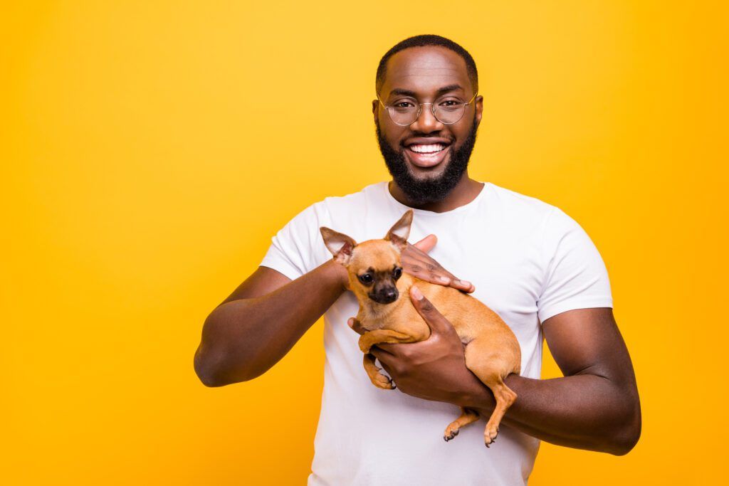 Dark skin guy casual outfit isolated yellow background with cute dog