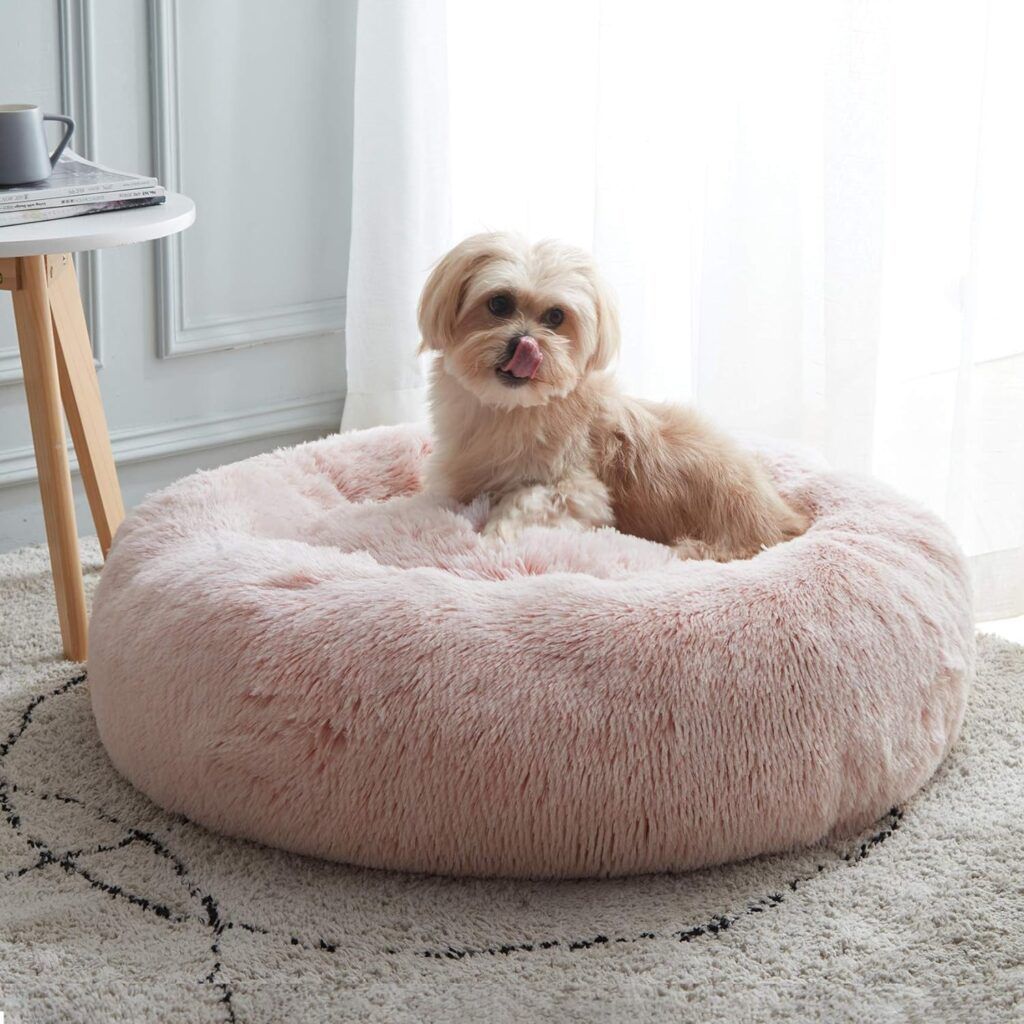 Maltese Puppy Practicing Dog Sleep Tips in a Plush Pink Dog Calming Bed