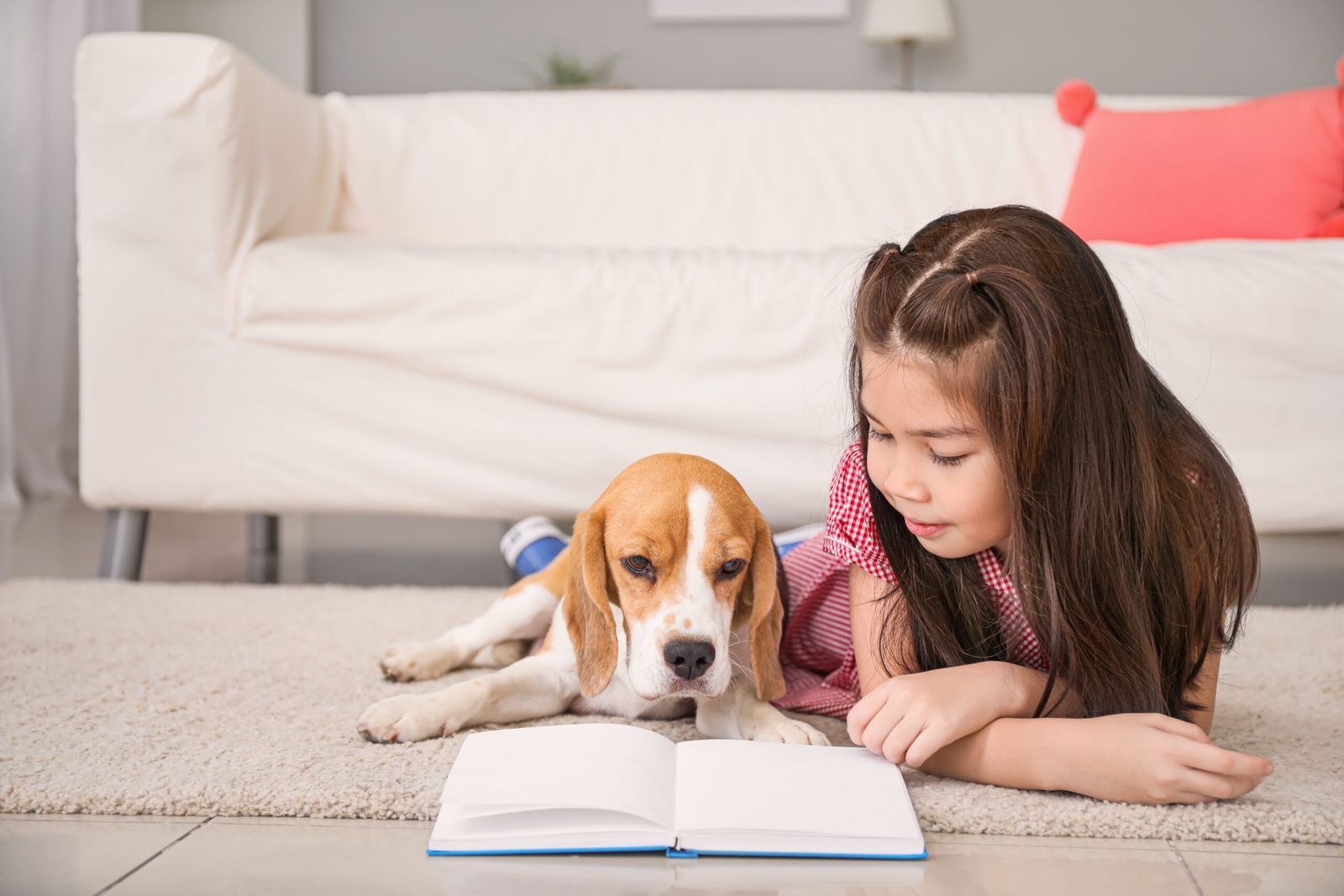 Book about Dogs