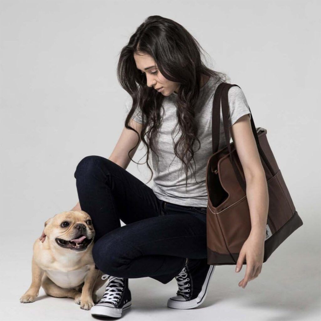 Woman with luxury leather dog carrier 