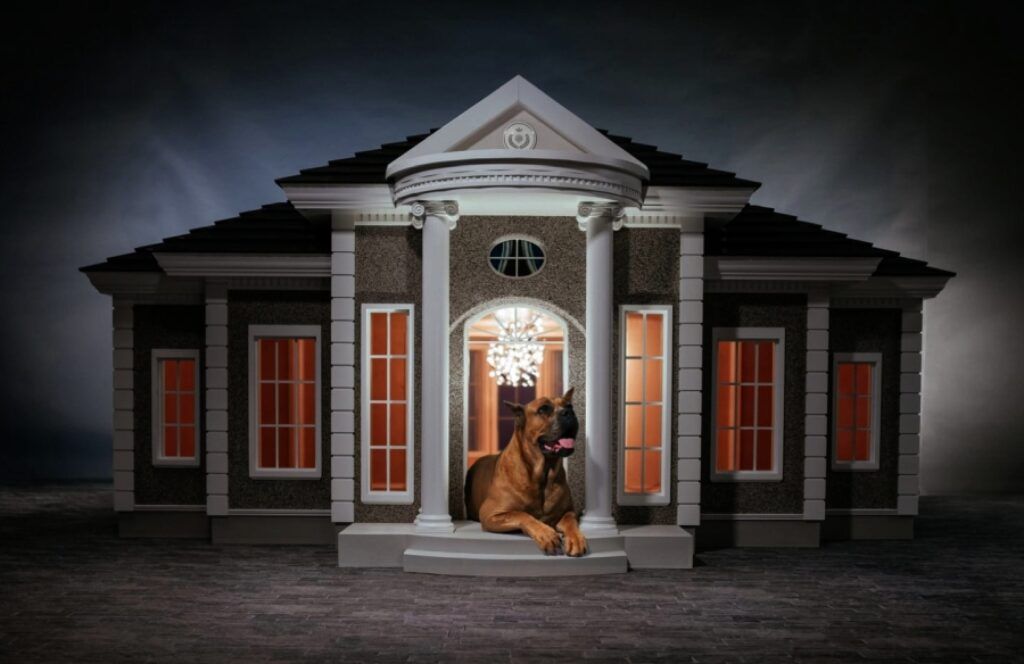 Luxury Dog House with dog on the front porch 