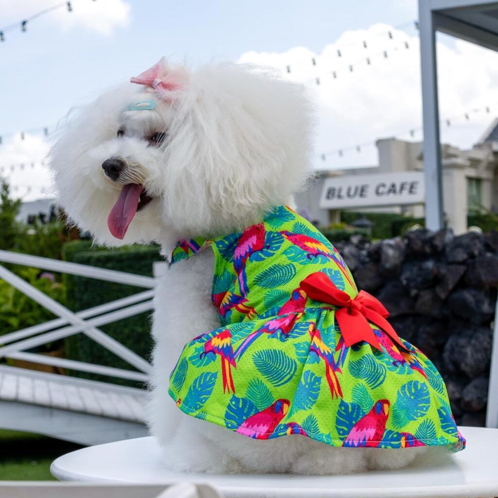 Floral print Dog dress, Formal Puppy dress, Pet wedding apparel