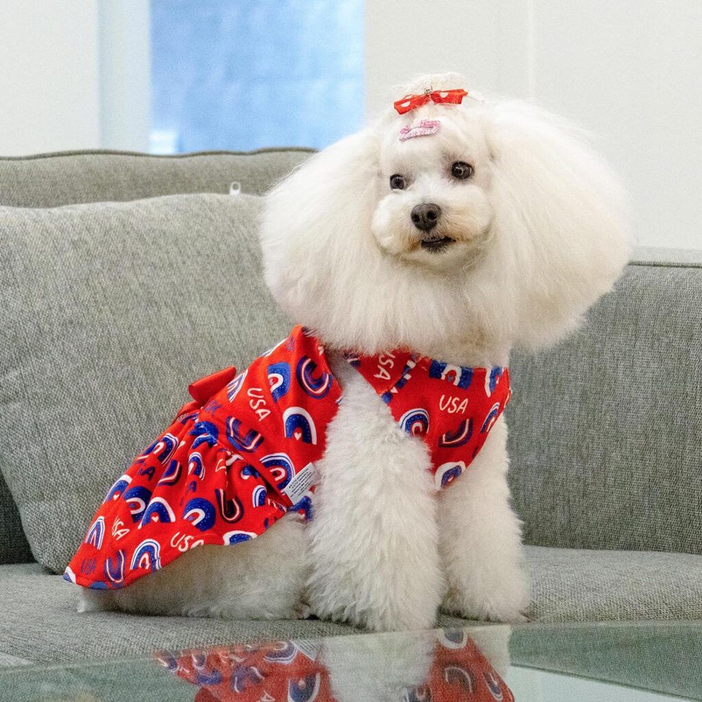 Adorable Dog Dress, Holiday Dog Outfit,4th of July Dog Costume