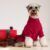 Fitwarm Dog Christmas Outfit, Knitted Dog Tulle Sweater Dress, Dog Winter Clothes for Small Dogs Girl, Cat Apparel, Red, Green, Small