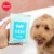 Clean All-Purpose Pet Wipes Travel Size – Pack of 5