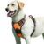 Eagloo Dog Harness for Large Dogs, No Pull Service Vest with Reflective Strips and Control Handle, Adjustable and Comfortable for Easy Walking, No Choke Pet Harness with 2 Metal Rings, Orange, L