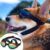 Dog Sunglasses by: QUMY | Goggles for Medium Large Breed Dogs | Wind Dust Fog Protection Eye Wear | Pet Eyewear