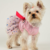 Dog Dress for Small Dogs,Dog Birthday Dress, Dog Clothes for Small Dogs Girls, Pink Dog Dress, Puppy Dress Costume, Pet Clothing Dog Clothes Outfit Cat Apparel (X-Small)