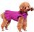 Dog Dress | Cute Puppy Pleated Dress | Dog Polo Shirts Dress