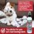 Bodhi Dog New Bitter 2 in 1 No Chew & Hot Spot Spray | Natural Anti-Chew Remedy Better Than Bitter Apple | Safe on Skin, Wounds and Most Surfaces | Made in USA (Alcohol Free, 8 Fl Oz)