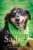 Saving Sadie: How a Dog That No One Wanted Inspired the World Paperback – Illustrated, September 26, 2017