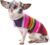 Handmade Dog Poncho | Mexican Dog Blanket | Cinco De Mayo