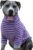 Dog Stripe Shirt | Purple and Grey Pullover| Large Dogs