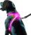 Noxgear LightHound – Revolutionary Illuminated and Reflective Harness for Dogs Including Multicolored LED Fiber Optics (USB Rechargeable, Adjustable, Lightweight, Rainproof) (Large)