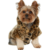 Dog Coat | Luxury Leopard Print | Faux Fur Pet Sweater