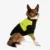 Dog Jacket | Lightweight Dog Coat | Nandog Sports Collection